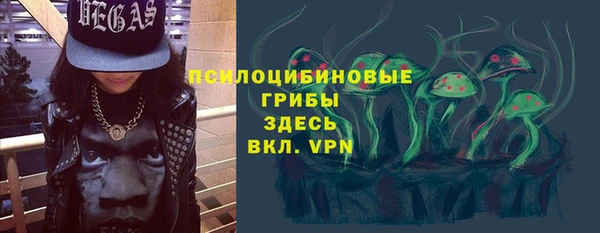 гашик Богданович