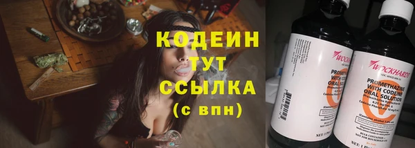 гашик Богданович