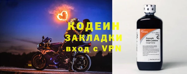 гашик Богданович
