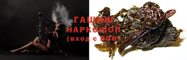 гашик Богданович