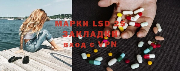 гашик Богданович
