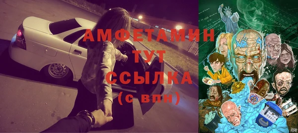 гашик Богданович
