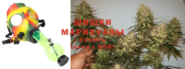 гашик Богданович