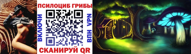 Купить закладки  Гатчина  Галлюциногенные грибы мицелий 